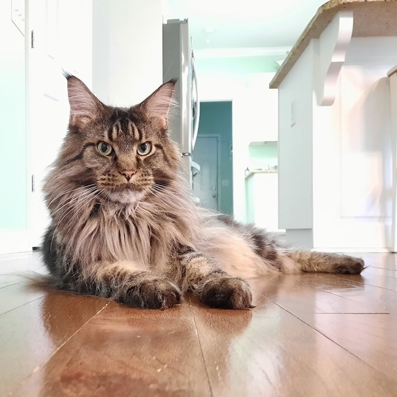 Meet your Posher, Amy - Picture 5 of 6